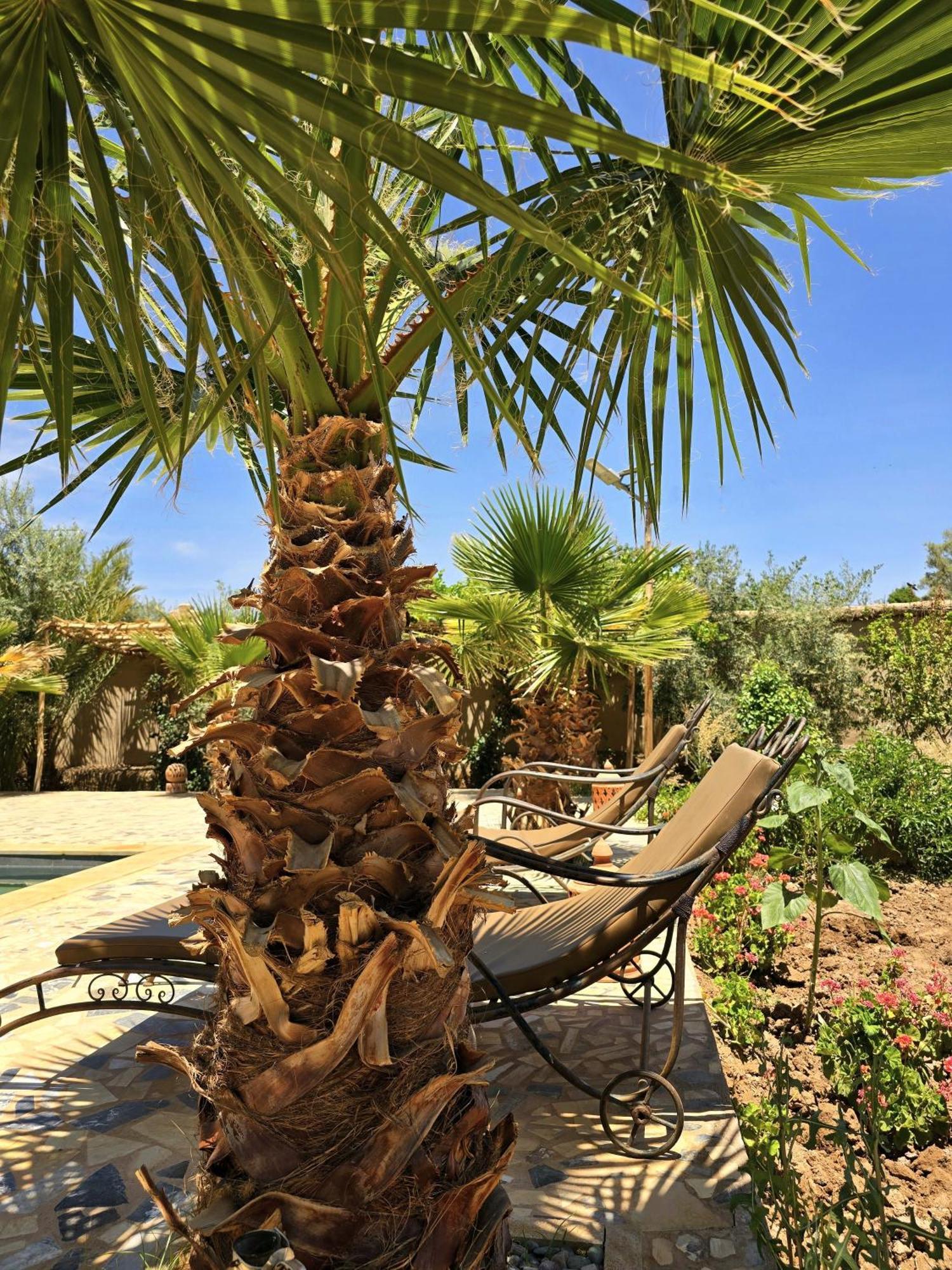 Riad Aman Skoura Extérieur photo